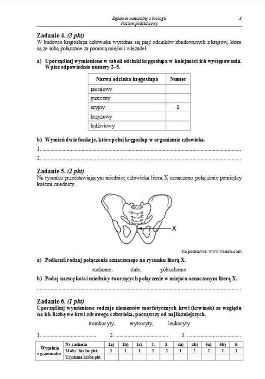 Matura 2013 biologia p. podstawowy