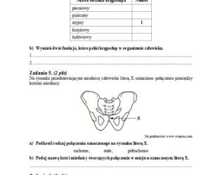 Matura 2013 biologia p. podstawowy