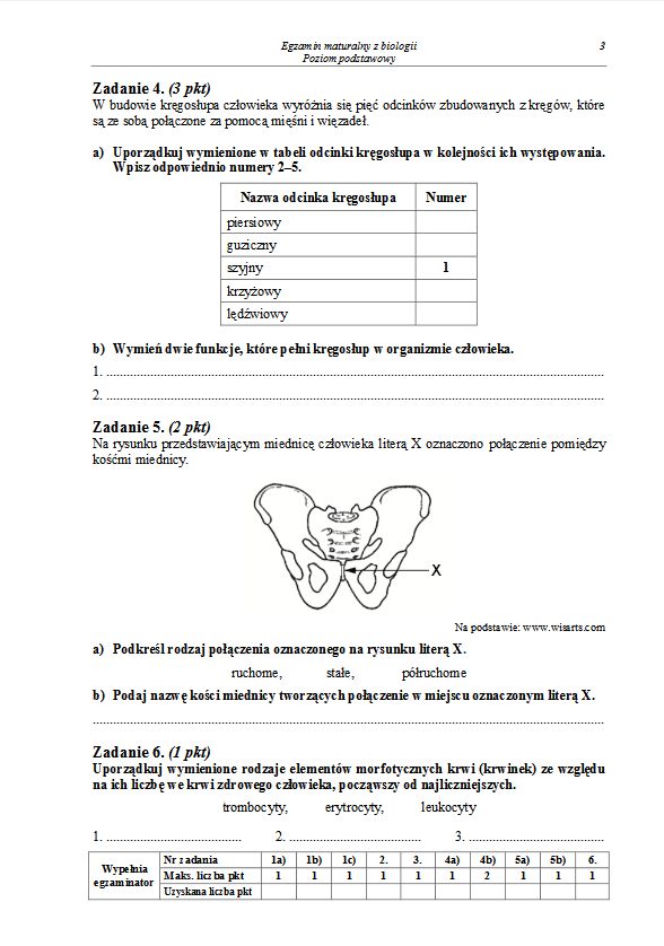 Matura 2013 biologia p. podstawowy