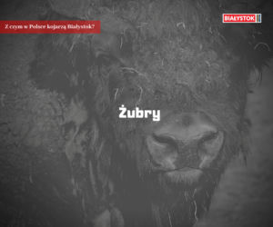 Z czym w Polsce kojarzą Białystok?