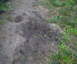 Chciał kupić rodzicom dom nad morzem. Nie zrobi tego, bo nie żyje. Na 18-letniego Dymytro spadł kocioł