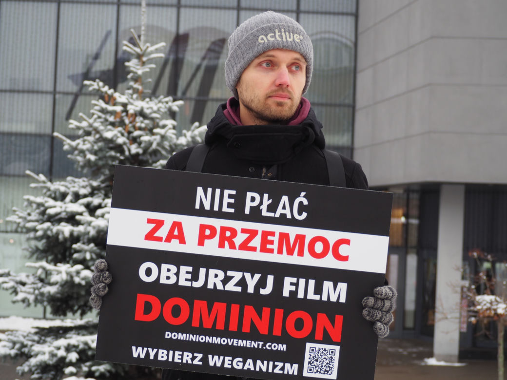 W Grudziądzu manifestowali aktywiści na rzecz zwierząt