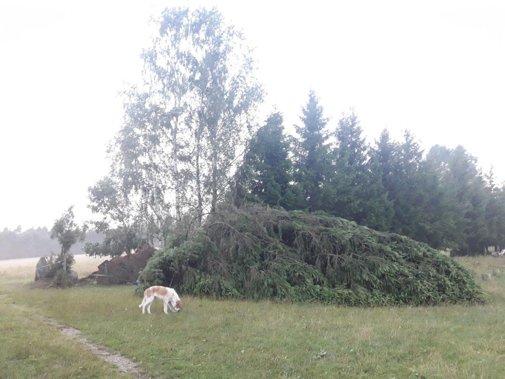 Rolnicy. Podlasie. Maciej z Kundzicz liczy straty. Wichura spustoszyła mu farmę