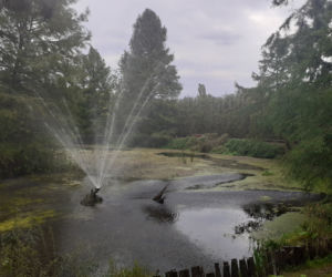 Arboretum Bolestraszyce