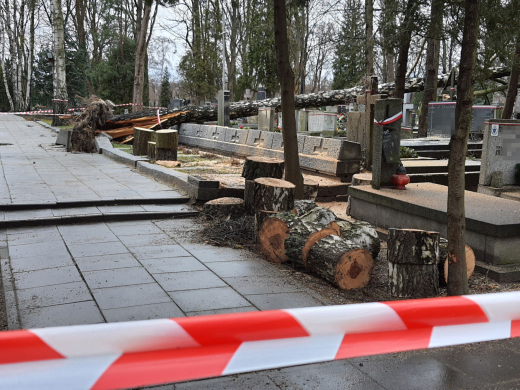Wichura zdemolowała stołeczne nekropolie. Kompletna ruina na cmentarzach 