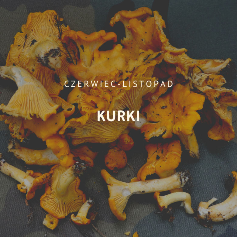 Kurki