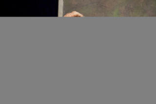 Andrzej Szopa: Przyjechałem jako imigrant, a wyjechałem jako obywatel amerykański