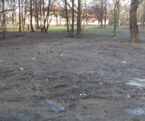 Tak obecnie wygląda Park Rzeczny Ogród Płaszów