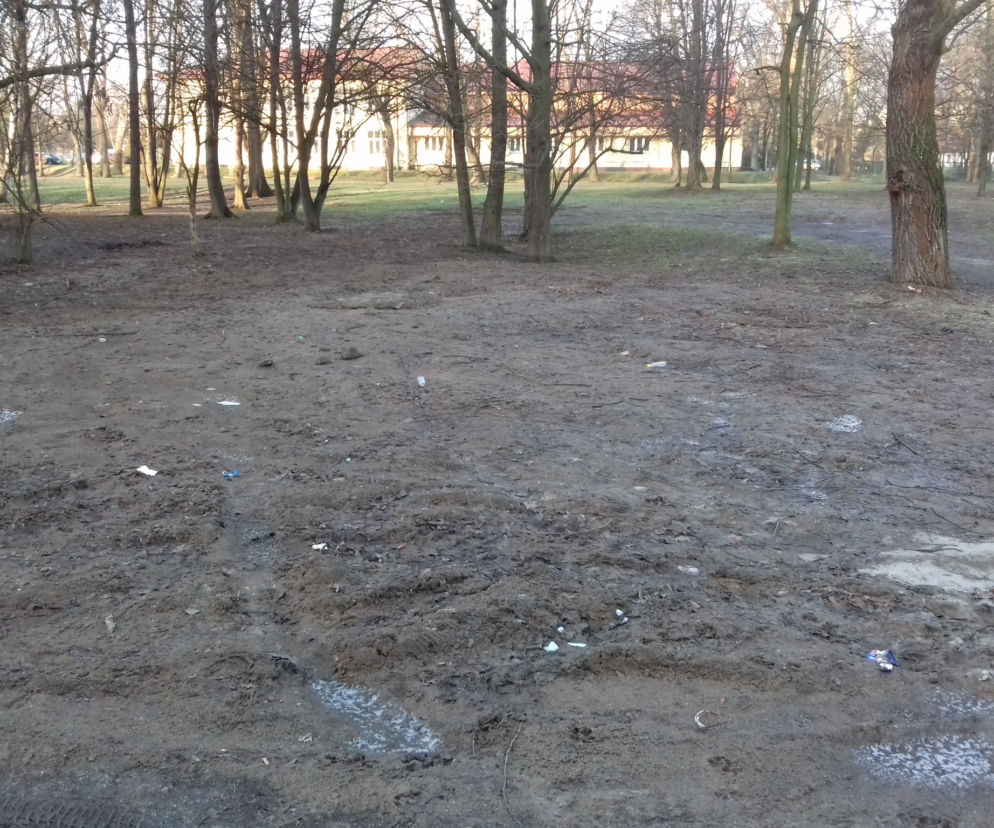 Tak obecnie wygląda Park Rzeczny Ogród Płaszów