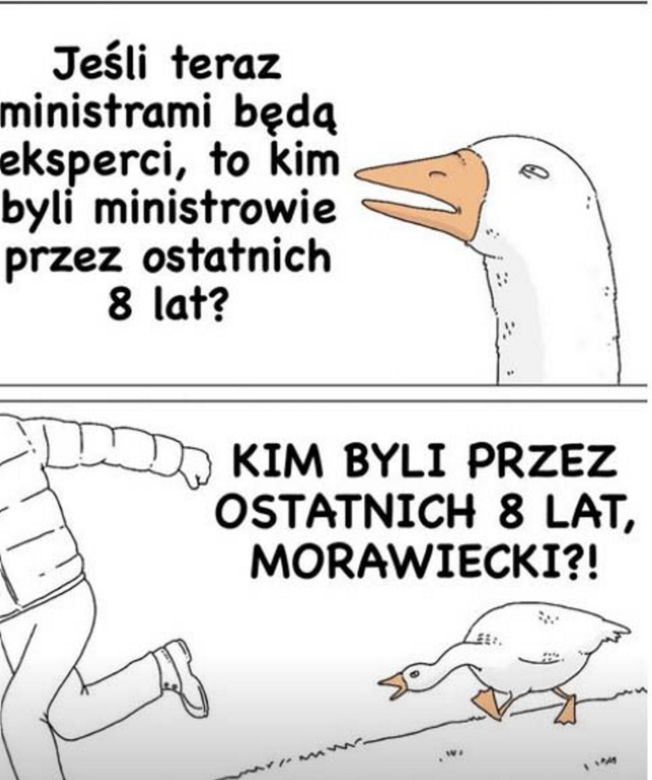 Internet śmieje się z rządu Morawieckiego. Lawina memów