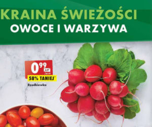 Promocje w Biedronce na weekend