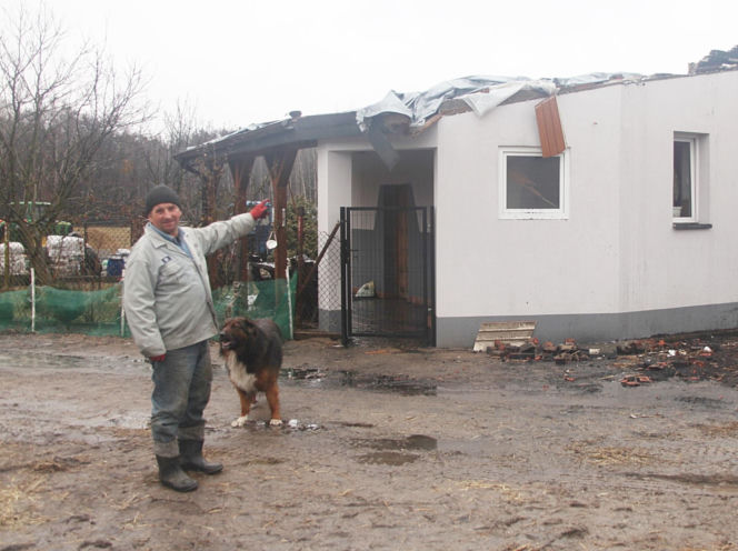 Krowa Diablica zobaczyła ogień i padła na zawał. Jarosław nie może się pozbierać. "Miałem ochotę płakać"