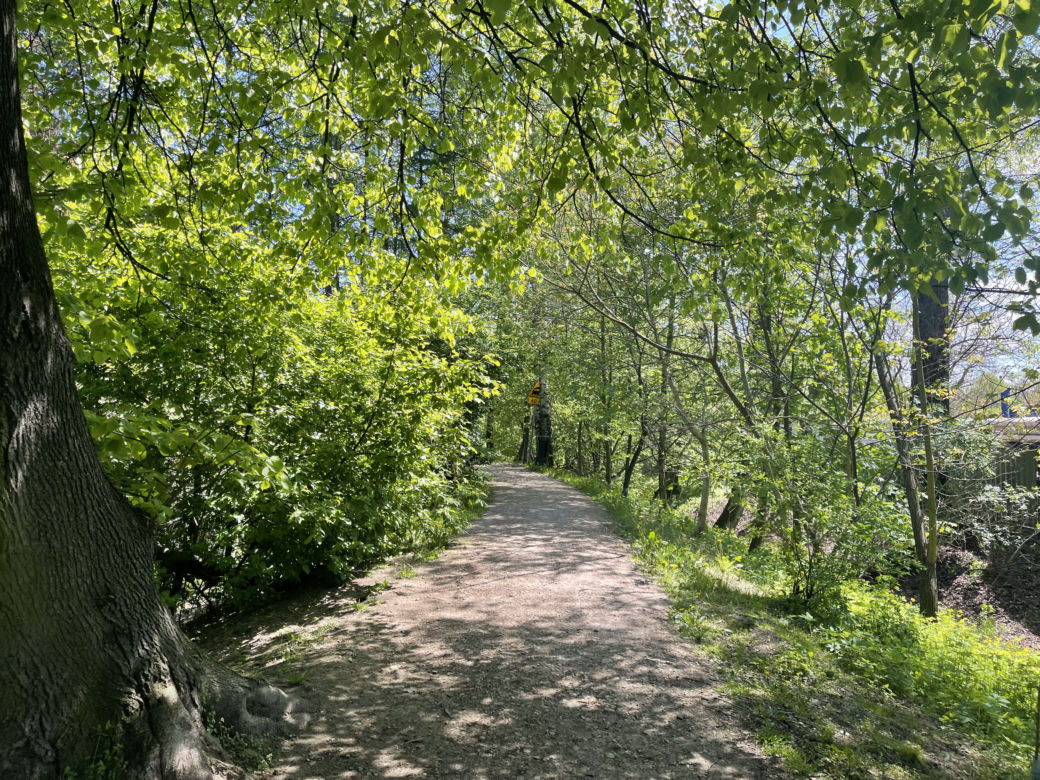 Kraków ma najdłuższy park w Polsce. Poznajcie Młynówkę Królewską! 