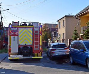Zabójstwo w Tychach. Zginął 80-latek