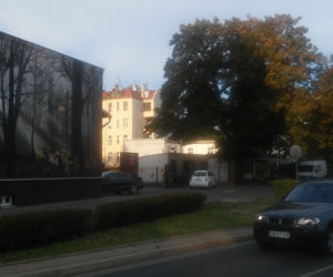 Leśny mural we Wrocławiu