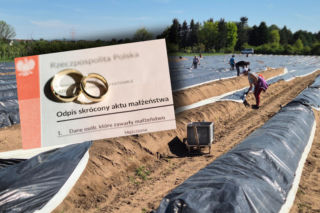 Zaskakujące ogłoszenie o pracę. Pokażesz akt małżeństwa, dostaniesz wyższą pensję