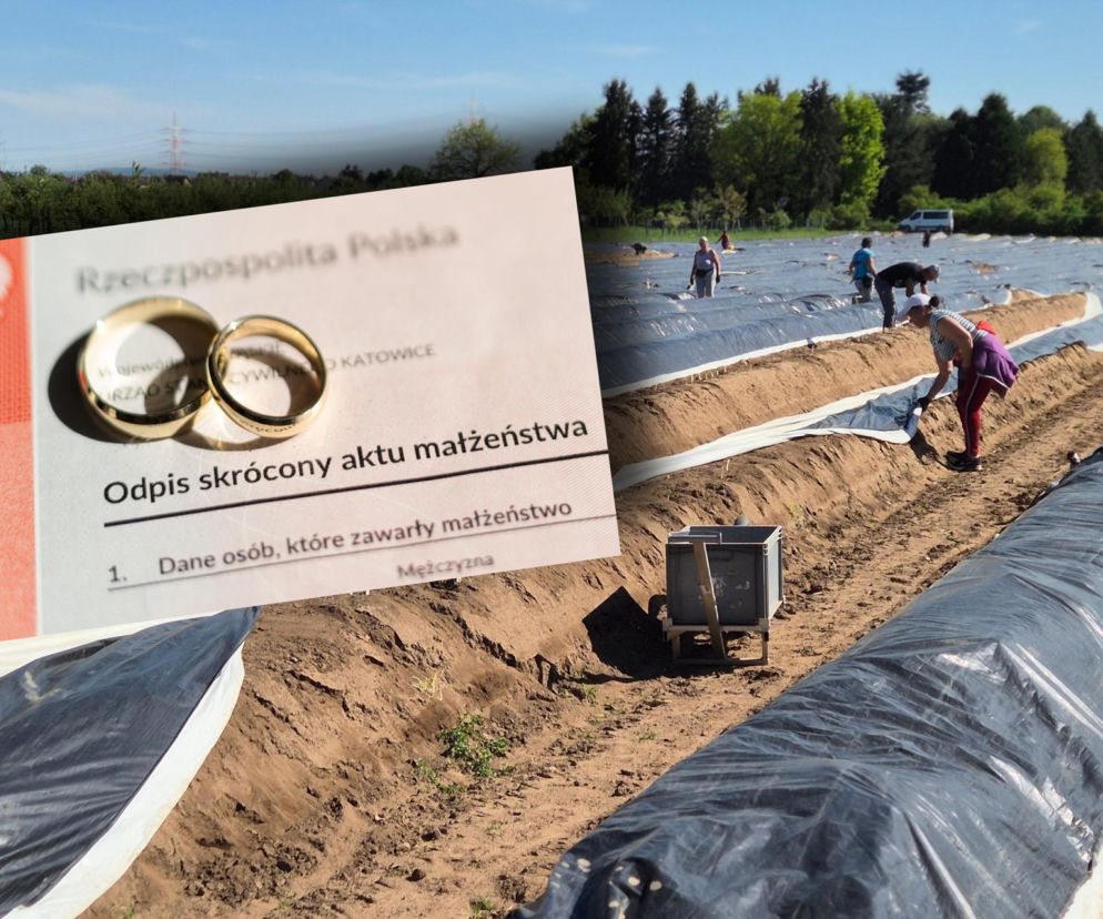 Akt małżeństwa zwiększy twoją wypłatę