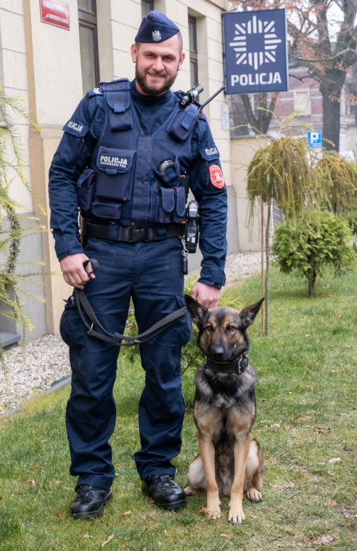 Otis nowy pies na komendzie