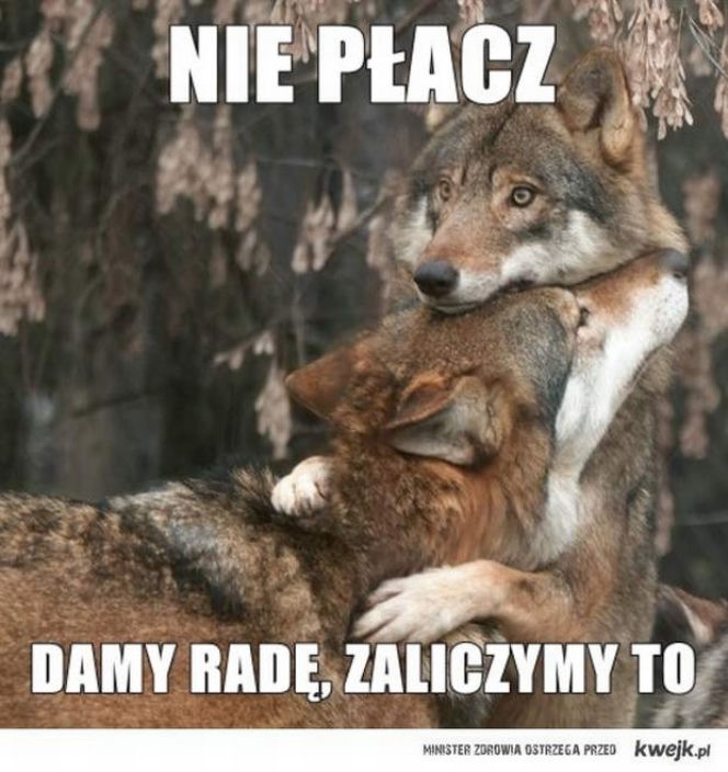 MEMY maturalne