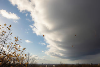 Legnica 19.11.2025. Pogodowy rollercoaster uderza! Czegoś takiego jeszcze nie było?