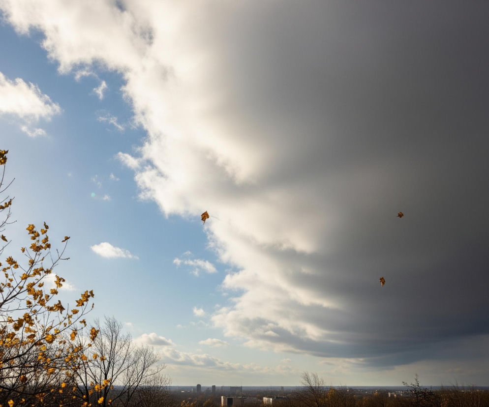 Górna połowa obrazu ukazuje dramatyczne niebo podzielone na dwie części: po lewej jasny, błękitny fragment z rozproszonymi białymi chmurami, a po prawej masywną, ciemnoszarą, burzową chmurę. Na lewo, promienie słońca przebijają się przez gałęzie drzew, tworząc intensywny blask i rozświetlając pomarańczowo-żółte liście, które jeszcze trzymają się nagich konarów. Kilka pojedynczych, brązowo-pomarańczowych liści unosi się w powietrzu, lecąc w kierunku ciemniejszych chmur. Dolna część kadru przedstawia rozległy, zamglony pejzaż miejski z licznymi budynkami i drzewami o brązowych i ciemnych barwach.