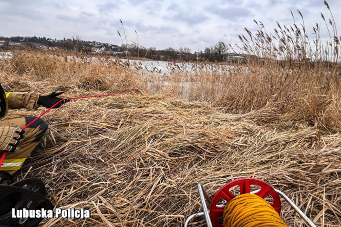Od dwóch dni trwają intensywne poszukiwania młodej kobiety z Gorzowa Wielkopolskiego