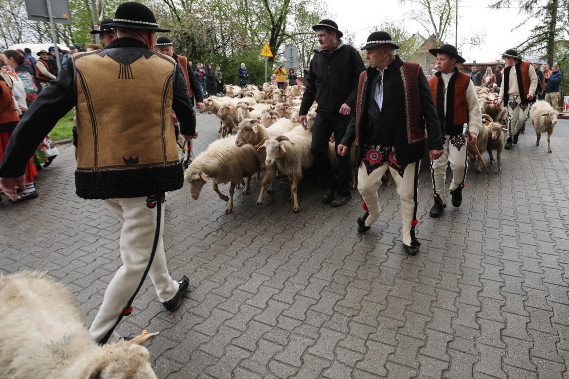 Redyk i Święto Bacowskie w Ludźmierzu
