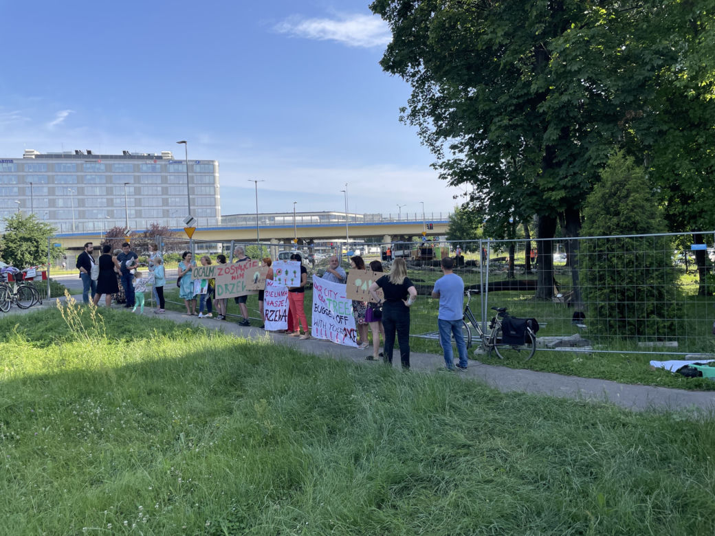 Linia tramwajowa do Mistrzejowic. Protest ws. wycinki drzew w Krakowie