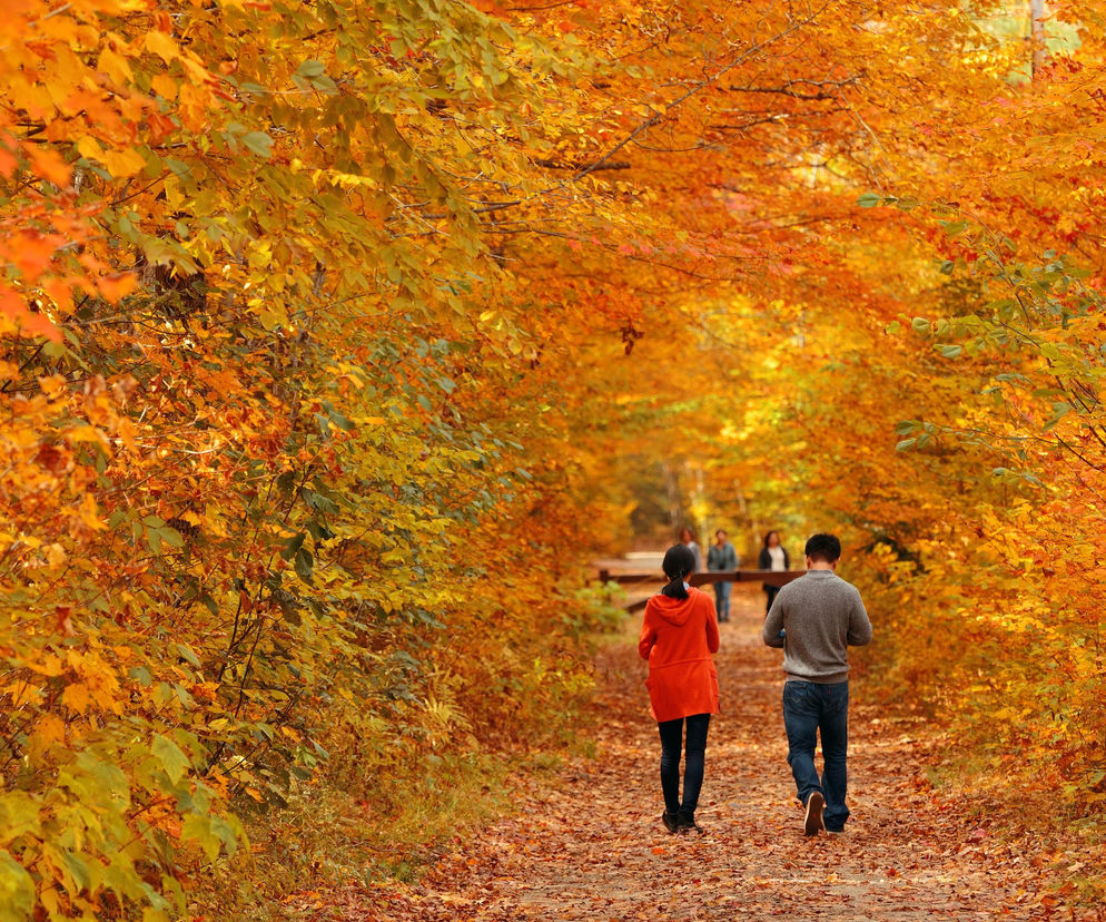 W te miejsca dotrzesz z Rzeszowa w mniej niż godzinę. 5 propozycji na jesienny weekend