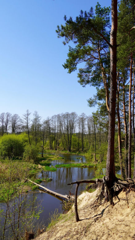 Bolimowski Park Krajobrazowy