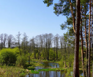 Bolimowski Park Krajobrazowy
