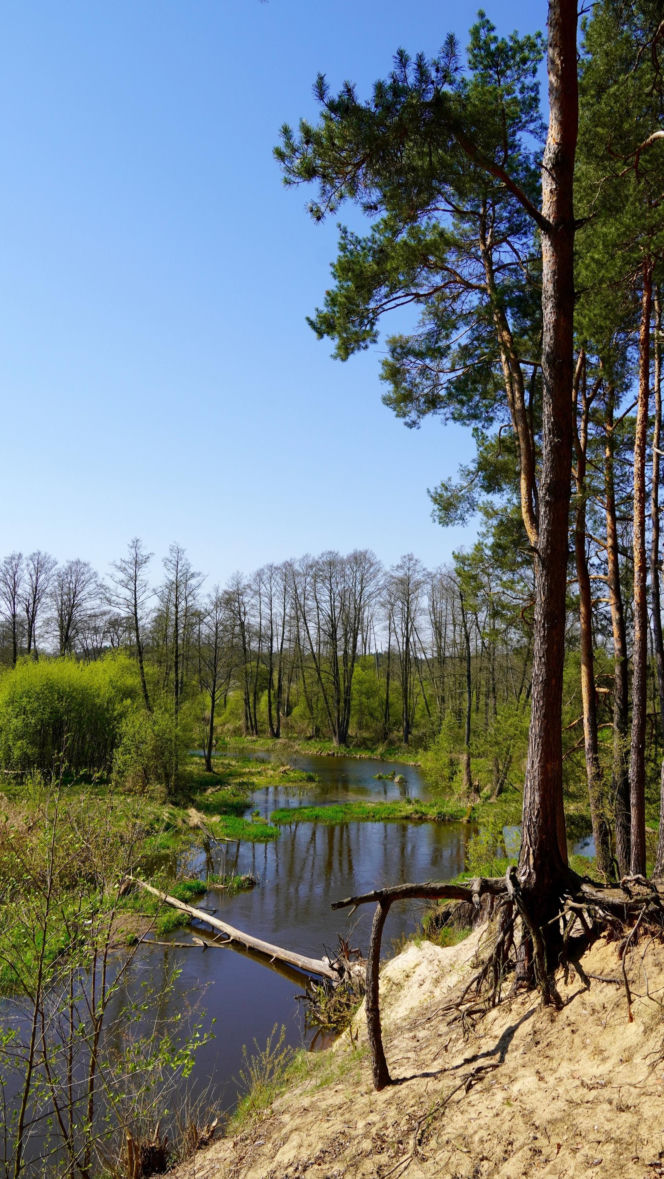 Bolimowski Park Krajobrazowy