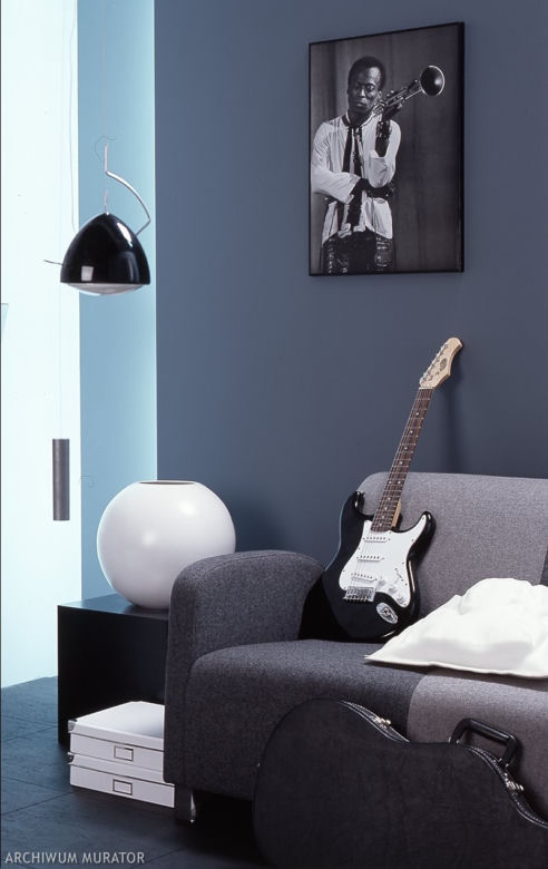 Gitara elektryczna we wnętrzu