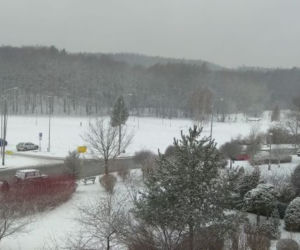 Zima w Trójmieście 28.01.2021