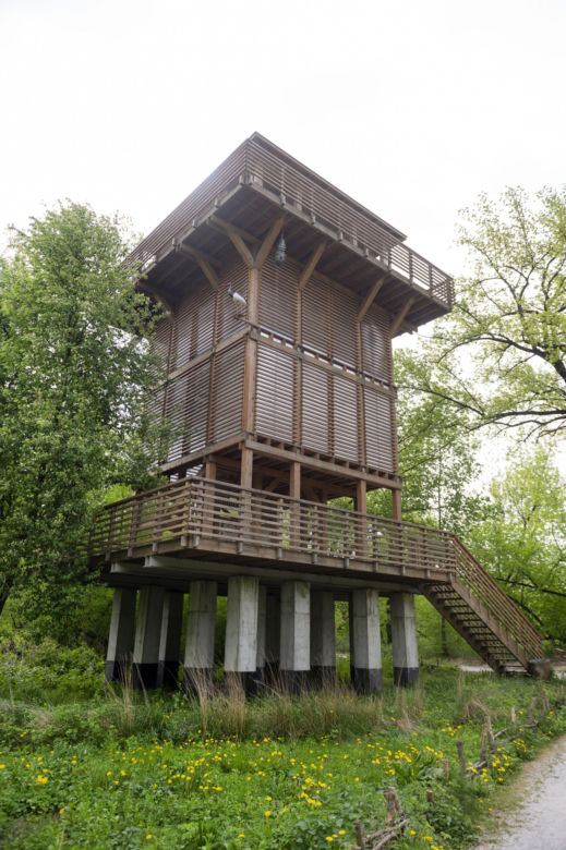 Park Dolina Wkry w Pomiechówku - spacer w koronach drzew, place zabaw, plaża