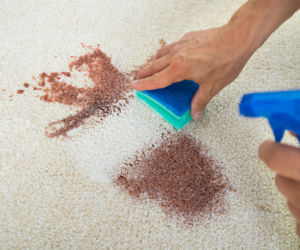 Pranie i czyszczenie dywanów bez tajemnic. Co działa, a co tylko szkodzi?