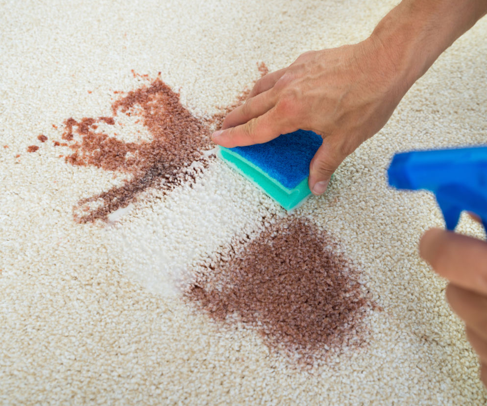 Pranie i czyszczenie dywanów bez tajemnic. Co działa, a co tylko szkodzi?