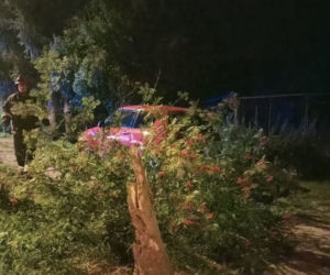 Pijana kobieta niemal doprowadziła do tragedii! Tłumaczyła, że tylko JADŁA OWOCE! 