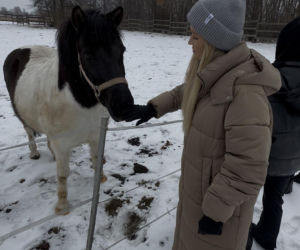 Joanna Krupa odwiedza schronisko dla zwierząt