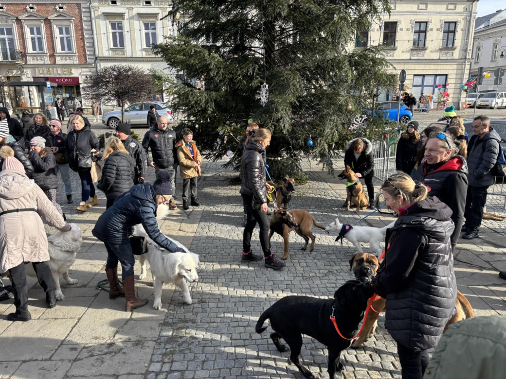 Finał WOŚP w Nowym Sączu 