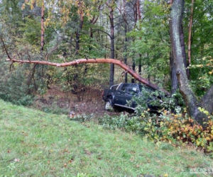Groźny wypadek w Więcborku! Samochód wypadł z drogi i zatrzymał się na drzewie!