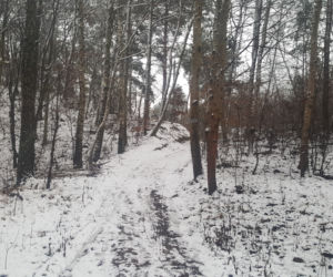 Zima na Górkach Fordońskich