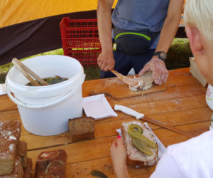 Święto Śliwki w Strzelcach Dolnych