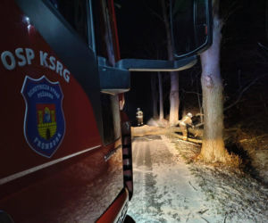 Wichura zniszczyła zabytkową kapliczkę przy sanktuarium