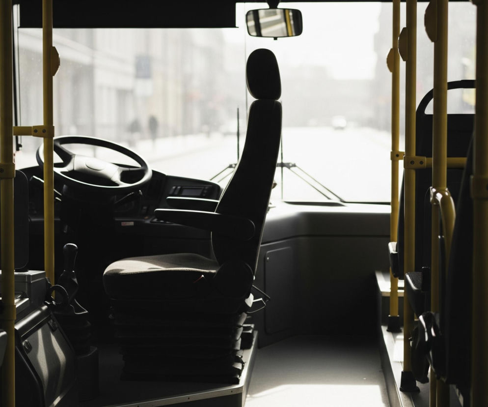 Wnętrze autobusu lub autokaru przedstawione jest od tyłu, skupiając się na miejscu kierowcy oraz widoku przez przednią szybę. Przednie siedzenie kierowcy, kierownica i deska rozdzielcza są silnie zacienione, przyjmując ciemne barwy, kontrastujące z jasnym tłem zewnętrznym. Żółte metalowe słupki i poręcze, przeznaczone dla pasażerów, biegną przez całą długość pojazdu po obu stronach, dzieląc obraz na sekcje i dodając dynamicznego kontrastu do ciemnego wnętrza.

Przez przednią szybę widać niewyraźny krajobraz miejski, z rozmytymi postaciami pieszych, samochodami i budynkami, wszystko w jasnych, niemal białych odcieniach, rozmytych światłem. W górnej części widoczne jest również lusterko wsteczne, odbijające fragment wnętrza. Ogólna atmosfera obrazu jest spokojna i introspektywna, z akcentem na kontrast między ciemnym, geometrycznym wnętrzem pojazdu a jasnym, rozmytym światłem z zewnątrz.