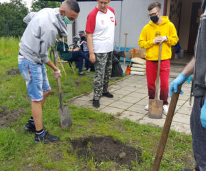 Projekt Akademia Ogrodnika w Sosnowcu 