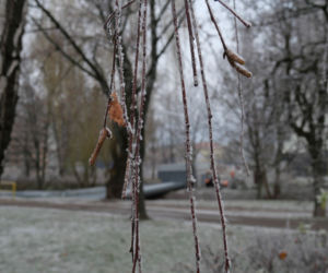 Prognoza pogody na Święta 2019