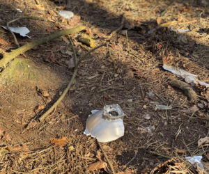 Pojechaliśmy na miejsce śmierci Magdaleny Majtyki. Nawet w dzień przyprawia o dreszcze