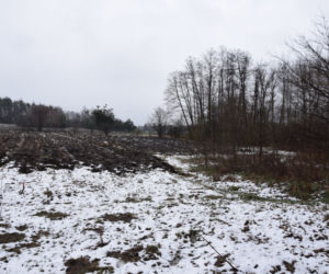 Dąbrówki. Nie żyje 17-letnia Paulina. Przeszliśmy drogę z miejsca imprezy do stawu, z którego wyłowiono ciało [ZDJĘCIA]