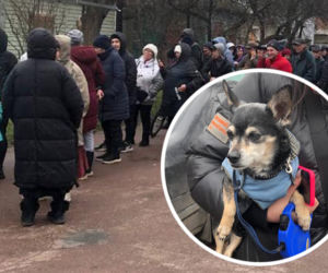 Tłumy Ukraińców stoją w kolejce po psie jedzenie